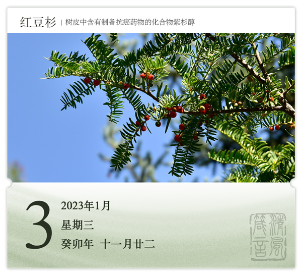 1703843344354910.png 箴历日历1-3.png