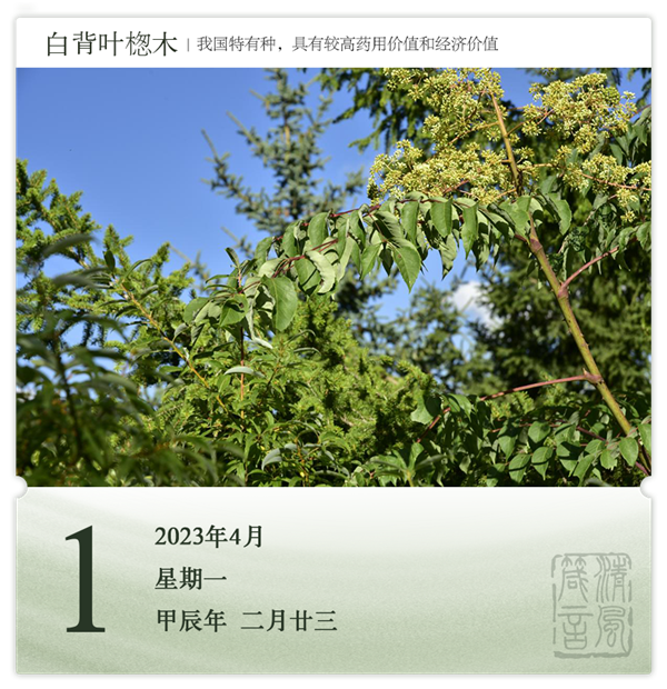 1711702529709016.png 箴历日历4-1.png