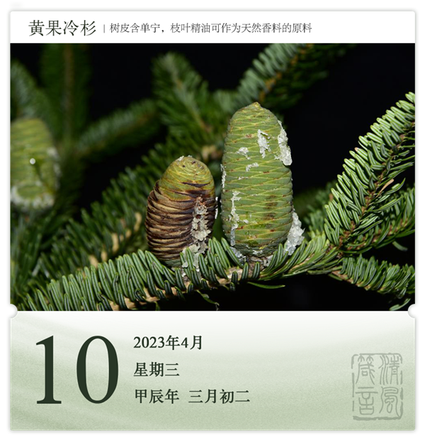 1712646899475962.png 箴历日历4-10.png