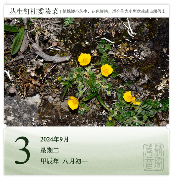 箴历日历9-3.png