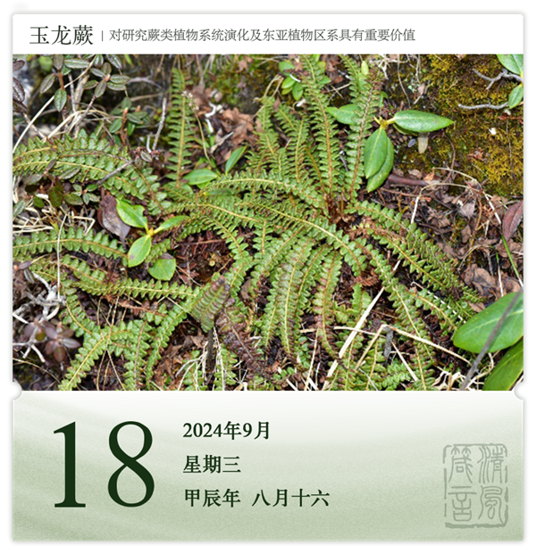 1726039471275813.png 箴历日历9-18.png