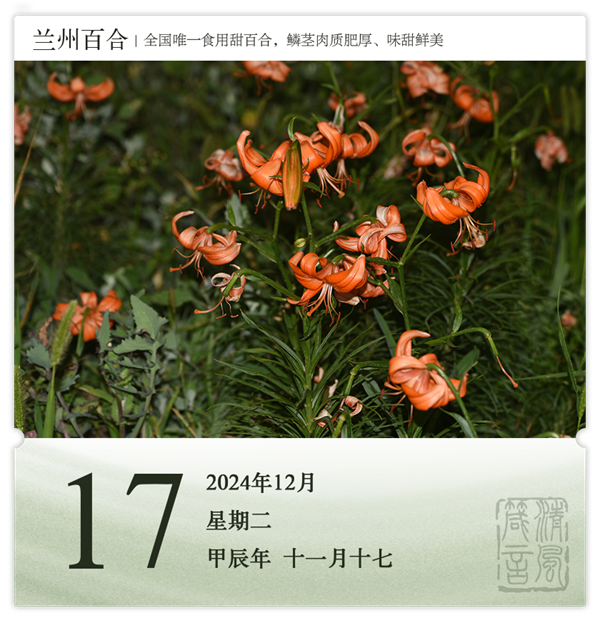 1732870395846717.png 箴历日历12-17.png