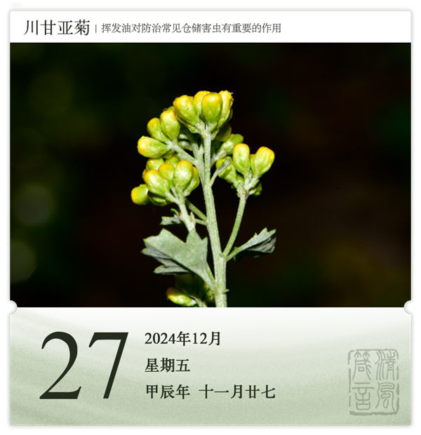 1732871486776175.png 箴历日历12-27.png