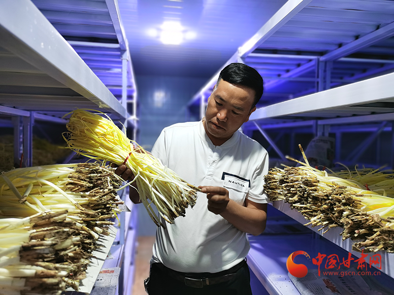 凯发k8民勤：以科技创新引领智慧农业