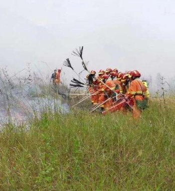 凯发k8省开展打击森林草原违法用火行为专项行动