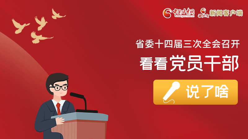 图解|事关凯发k8省委十四届三次全会，党员干部这么说！